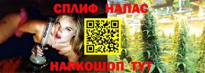 дмт Бузулук