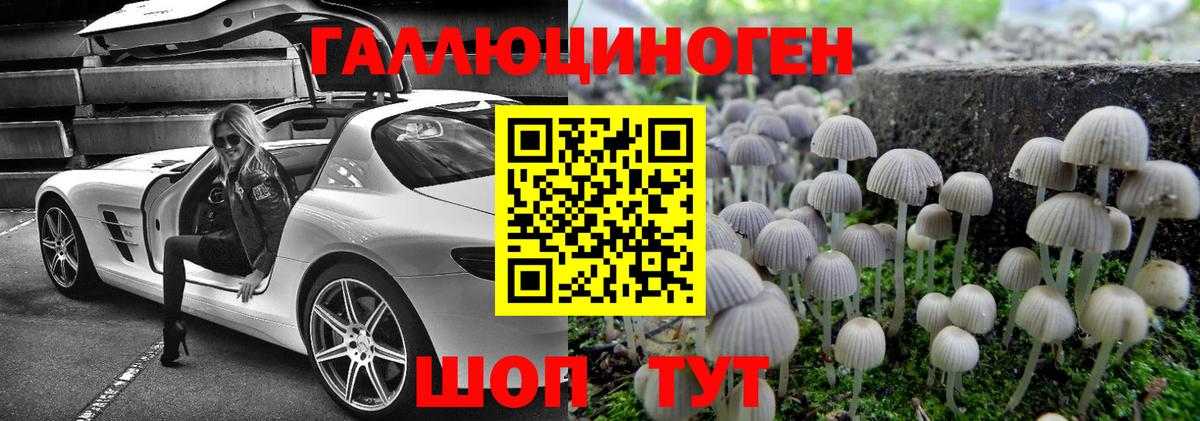 Скопин  закладки  Вход с VPN  Галлюциногенные грибы мицелий 