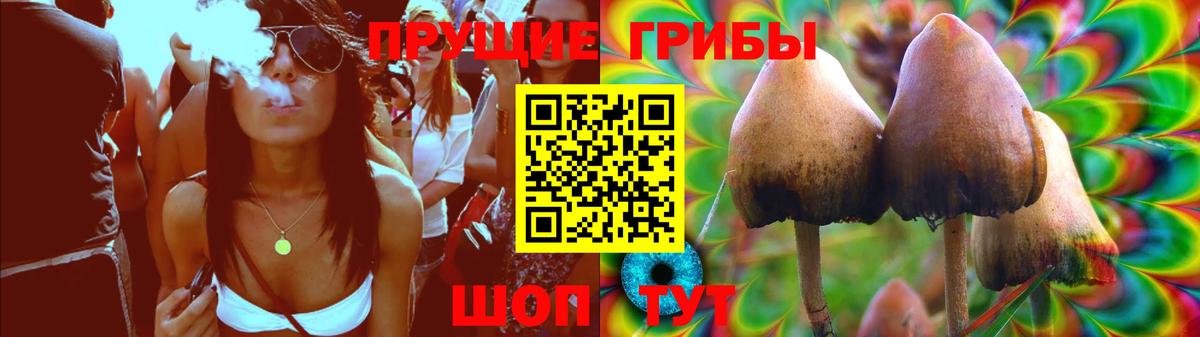 Галлюциногенные грибы Magic Shrooms Скопин